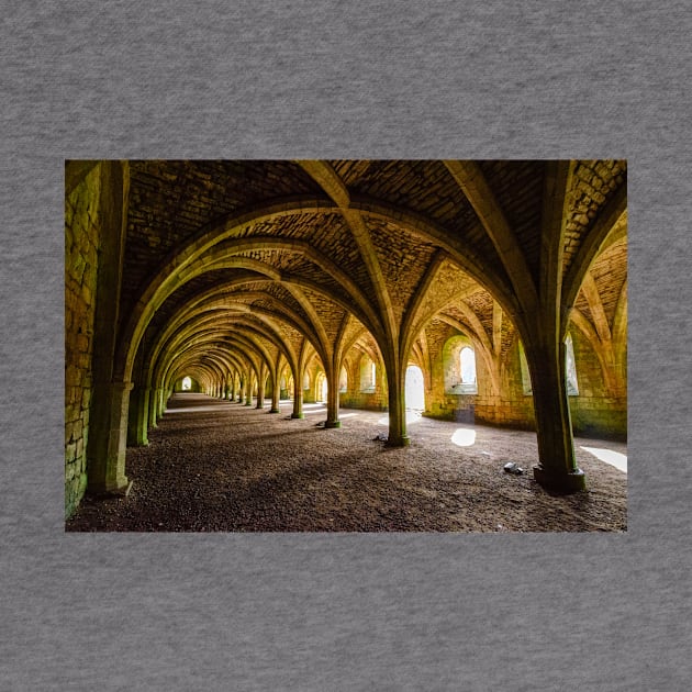 The Vaulted Cellarium, Fountains Abbey by BrianPShaw